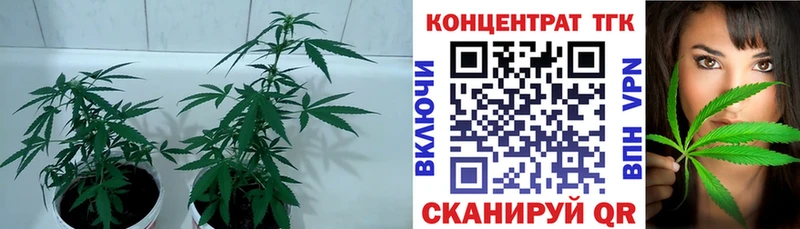 ТГК жижа  купить наркотики цена  Елабуга 